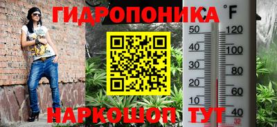 mdpv Брянск